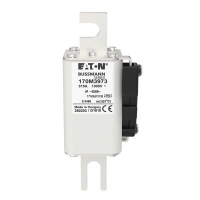 Bussmann 170M3973 315A 1000V AC fusible 170M cuadrado de alta velocidad