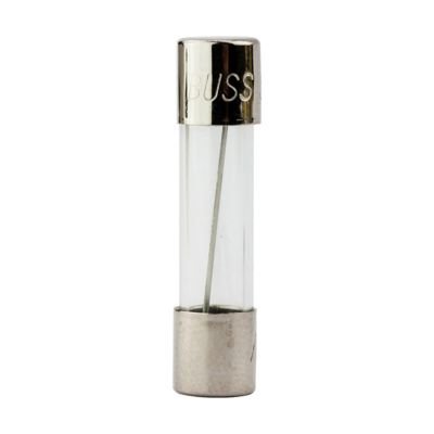 Eaton Bussmann AGX-10 10A 250V AC / 32V DC Supplemental Glass Tube Fuse