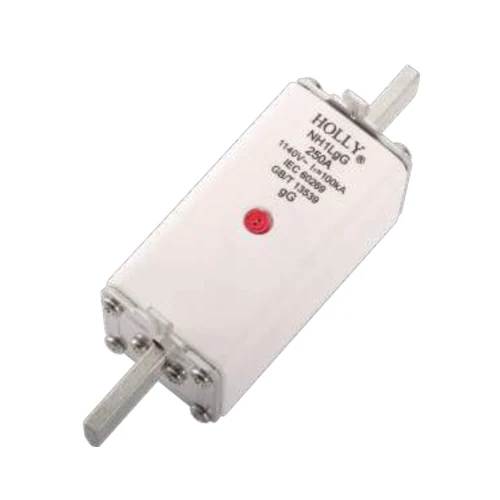 HOLLY FUSE NH1LgG100U11BD 1140V AC 100A предохранитель gG